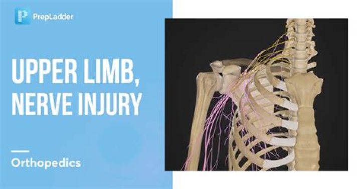 Understanding the Impact of Jon Limp's Injury on His Jersey Career