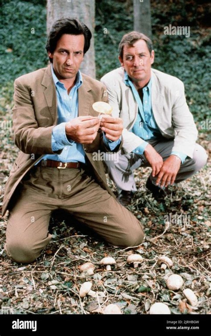 Legendary Actor John Nettles: Embark on a Journey into the World of Bergerac