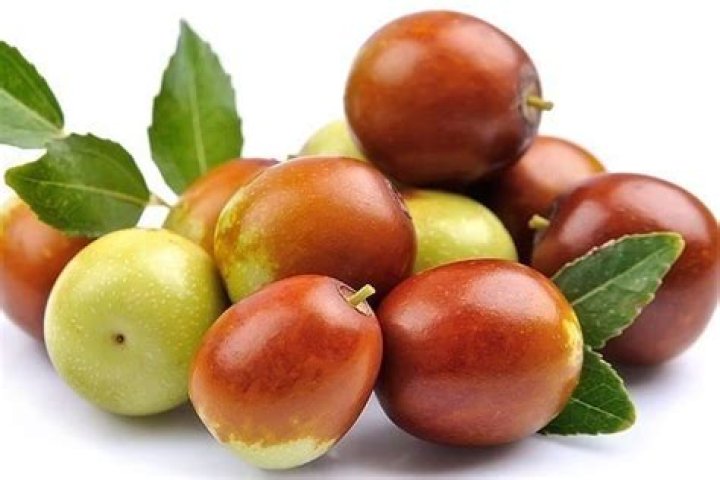 Exploring the Health Benefits and Uses of Jujube Fruit