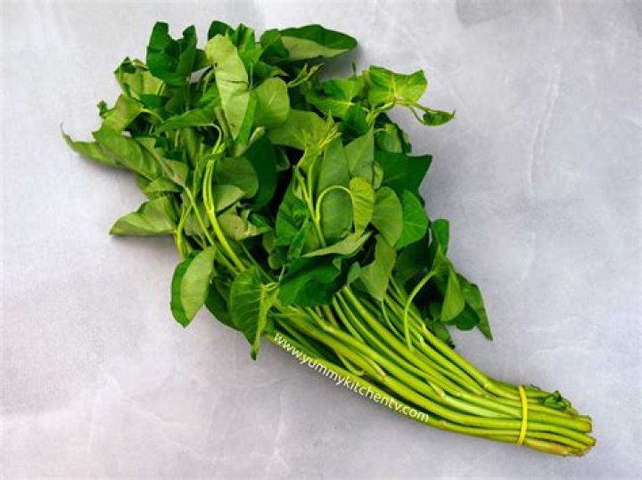 Kangkong in English: A Comprehensive Guide to Water Spinach