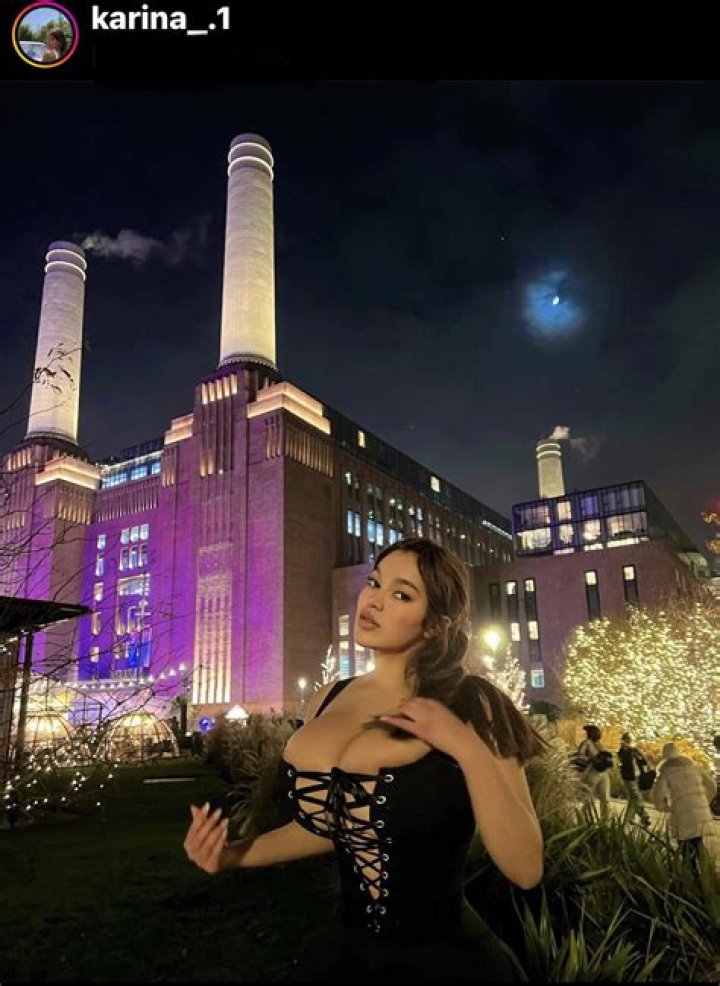 Unveiling the Enigma of Karina Fakedeep