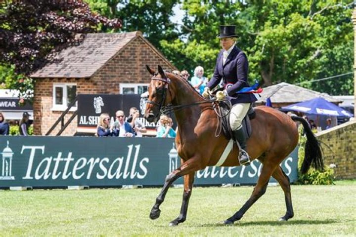 Kateyagal Lifetimes: An Inspiring Journey Through Time