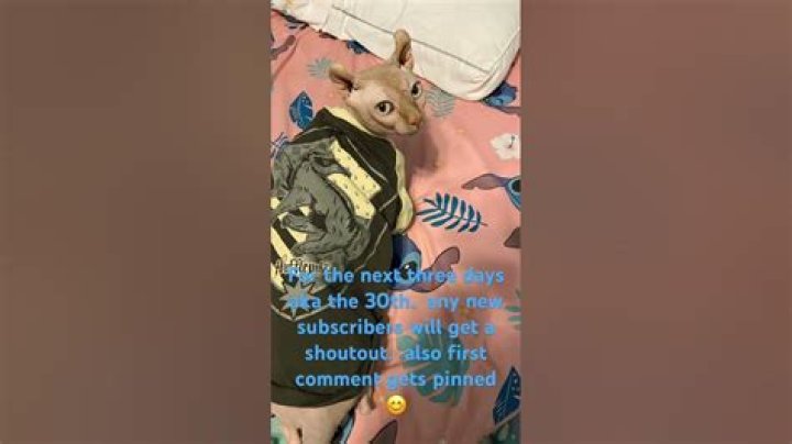 Unraveling the World of Kathshd: A Deep Dive