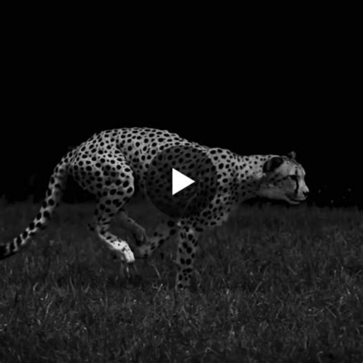 Unraveling the Mystique of Katthd: A Deep Dive