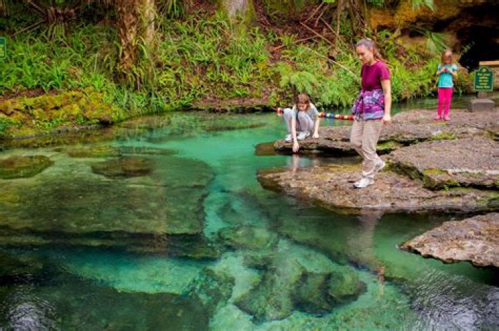 Kelly Park: A Comprehensive Guide to One of California’s Hidden Gems