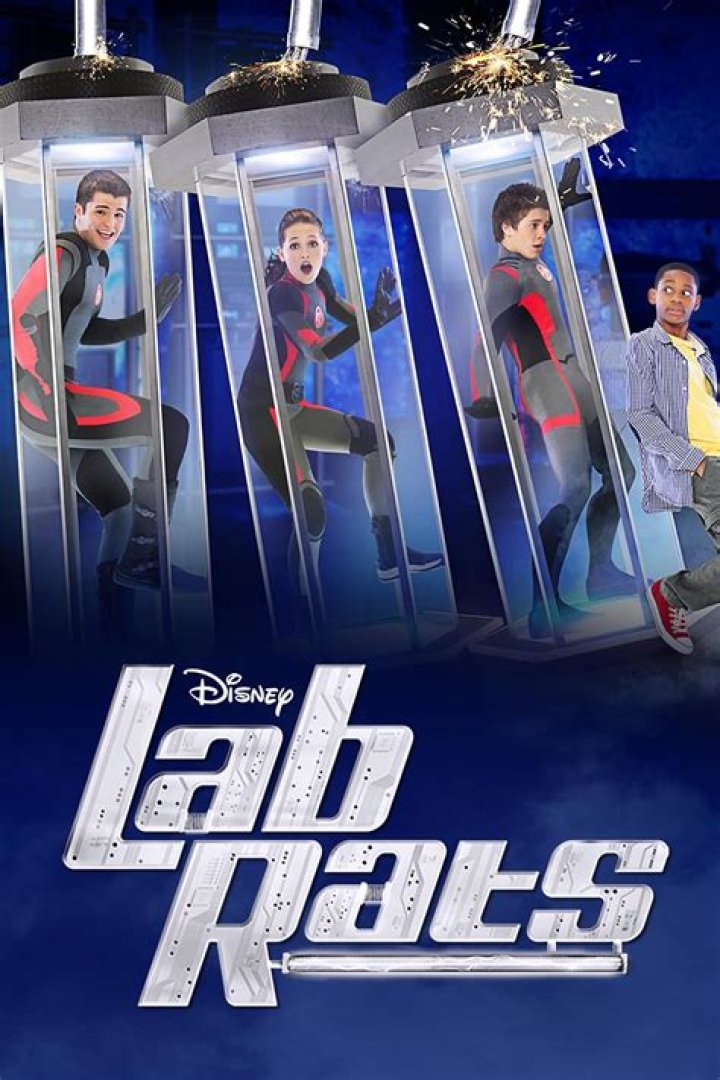 Understanding Lab Rats: The Unsung Heroes of Scientific Research