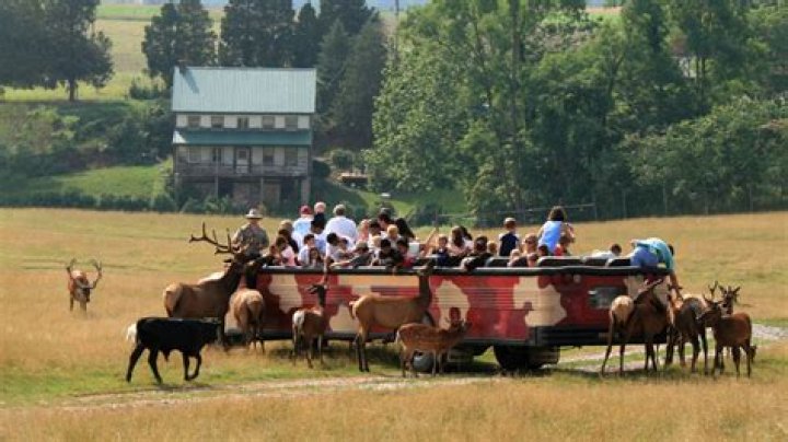 Discovering Lake Tobias: A Wildlife Park Experience