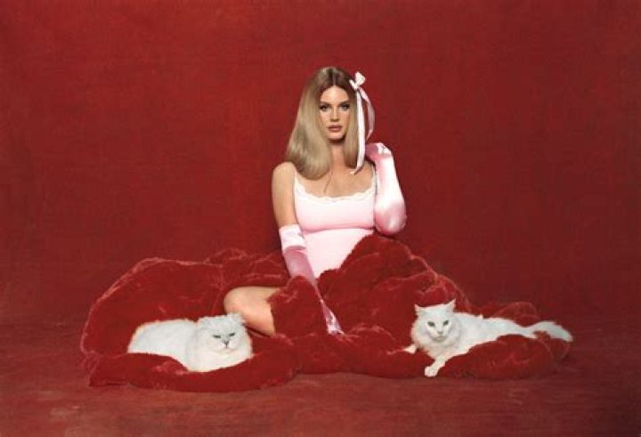 Lana Del Rey Skims: The Intersection of Music and Fashion