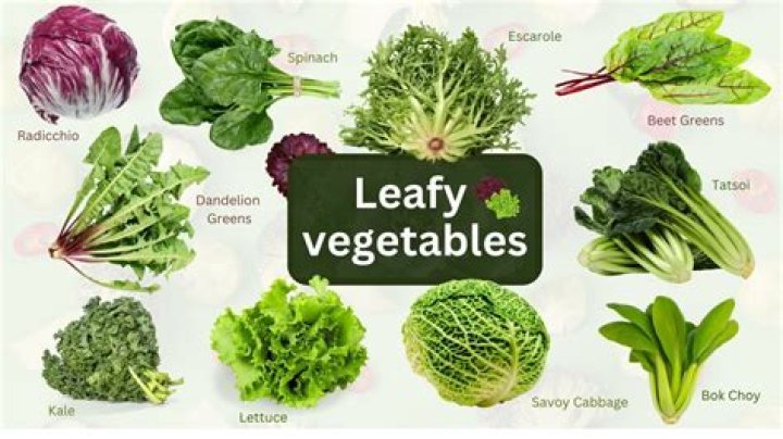 Fresh & Vibrant Leafy Leafy Greens for Your Health!