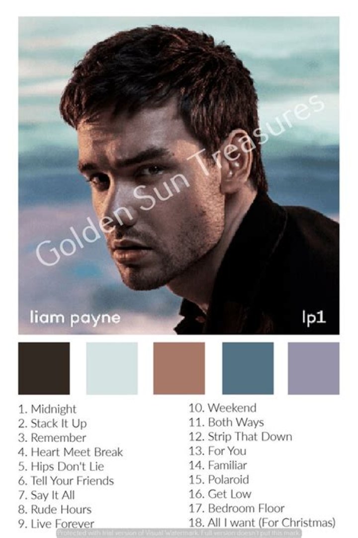 Liam Payne's Favorite Color: A Fascinating Insight