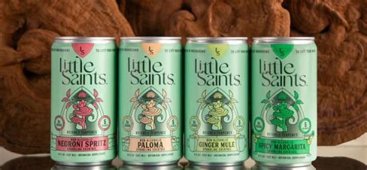 Everything You Need to Know About Little Saints Mushroom Drink