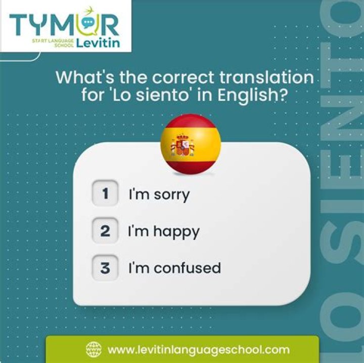 Understanding "Lo Siento" in English: The Art of Apology