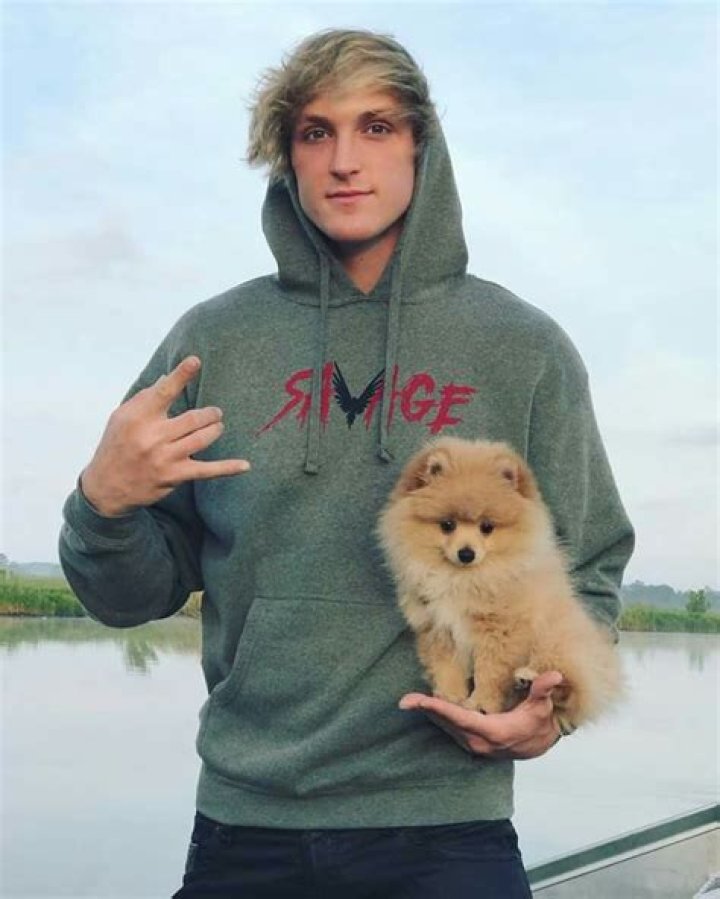 Logan Paul Kong: The Rise of a YouTube Sensation and Entrepreneur