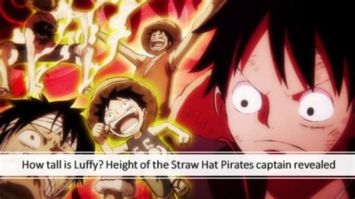 Luffy Height: Unveiling the True Scale of One Piece's Iconic Character