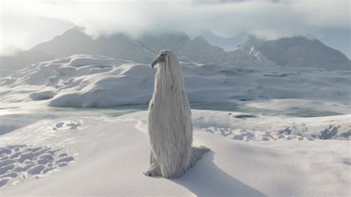 Understanding Luh Calm Fit: The Ultimate Guide to a Balanced Lifestyle