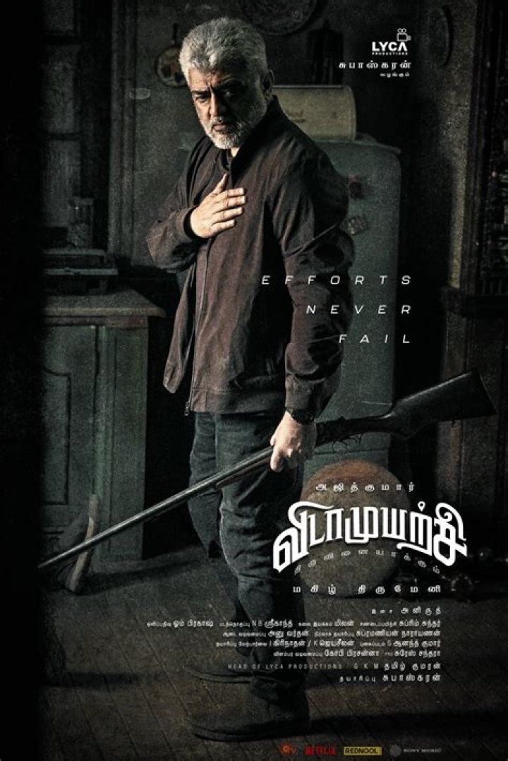 MKV Movies: The Ultimate Guide to MKV Format and Its Role in the Film Industry