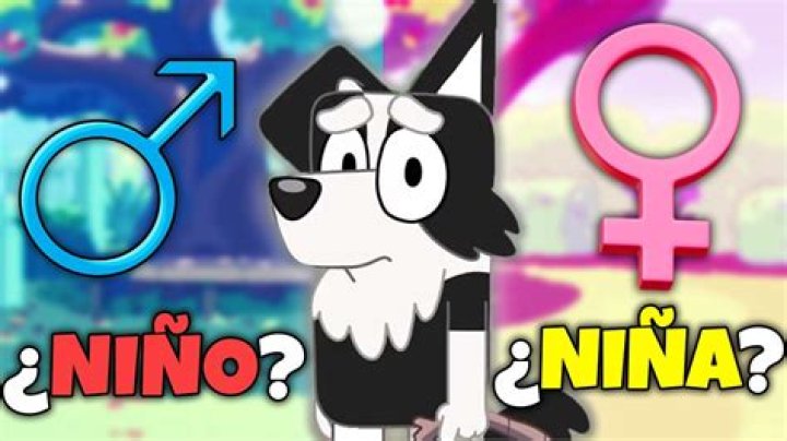 Mackenzie Davis Sexuality: Exploring the Life and Identity of a Rising Star