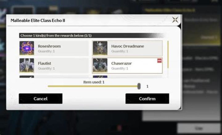 Malleable Elite Class Echo: Understanding Its Dynamics and Implications