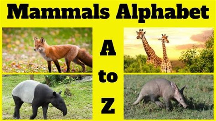 Mammals Beginning with E: An In-Depth Exploration