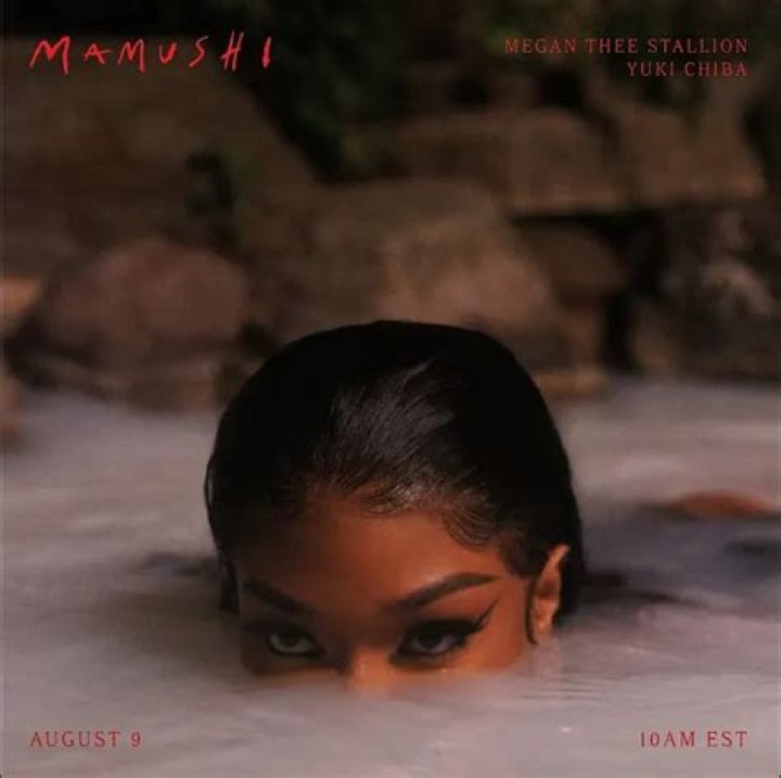 Mamushi Megan Thee Stallion: The Rising Star of Hip-Hop