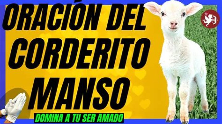 Manso Corderito Oracion: A Deep Dive into Its Meaning and Significance