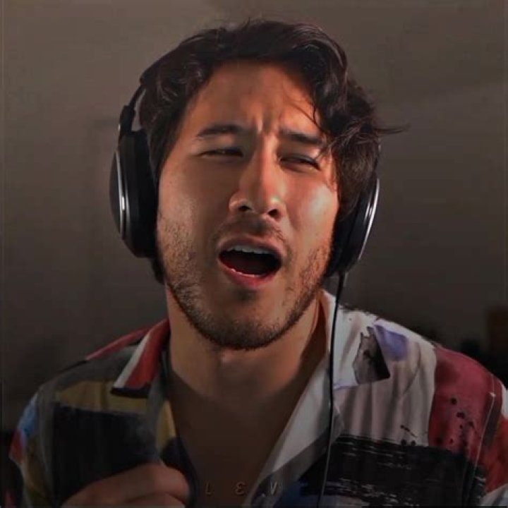 Exploring the Phenomenon of Markiplier on TikTok