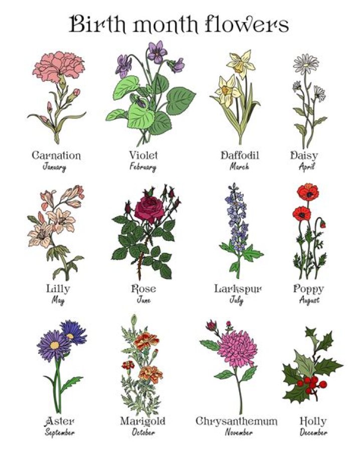 Discovering the Beauty and Significance of the May Birth Flower