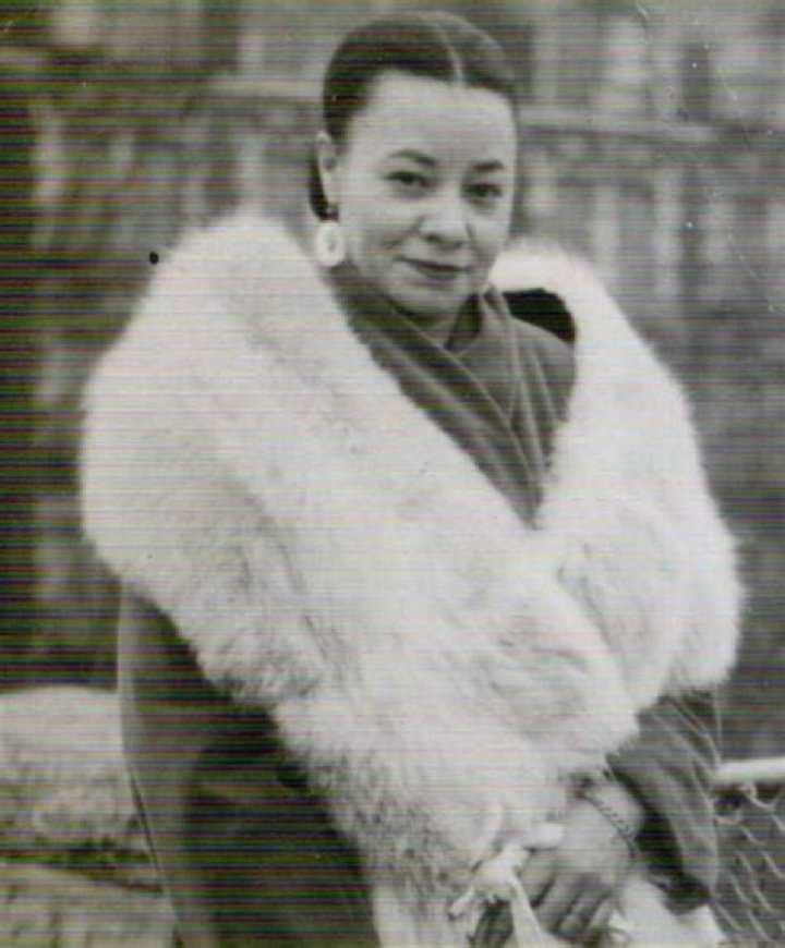 Unveiling the Life and Legacy of Mayme Hatcher Johnson