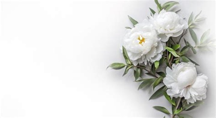 McCombs Funeral Home Missouri: A Comprehensive Guide to Their Services