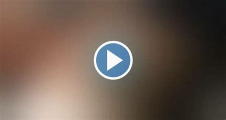 Exploring the Fascinating World of the Megnut Fanbus