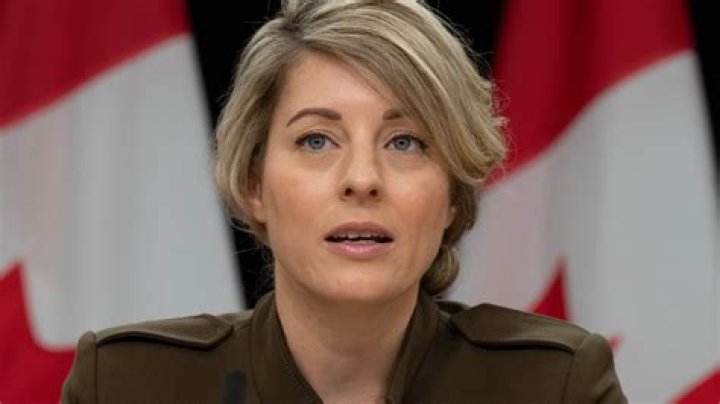 Inside the Life of Melanie Joly and Her Partner: Unraveling the Mystery of Melanie Joly Conjoint