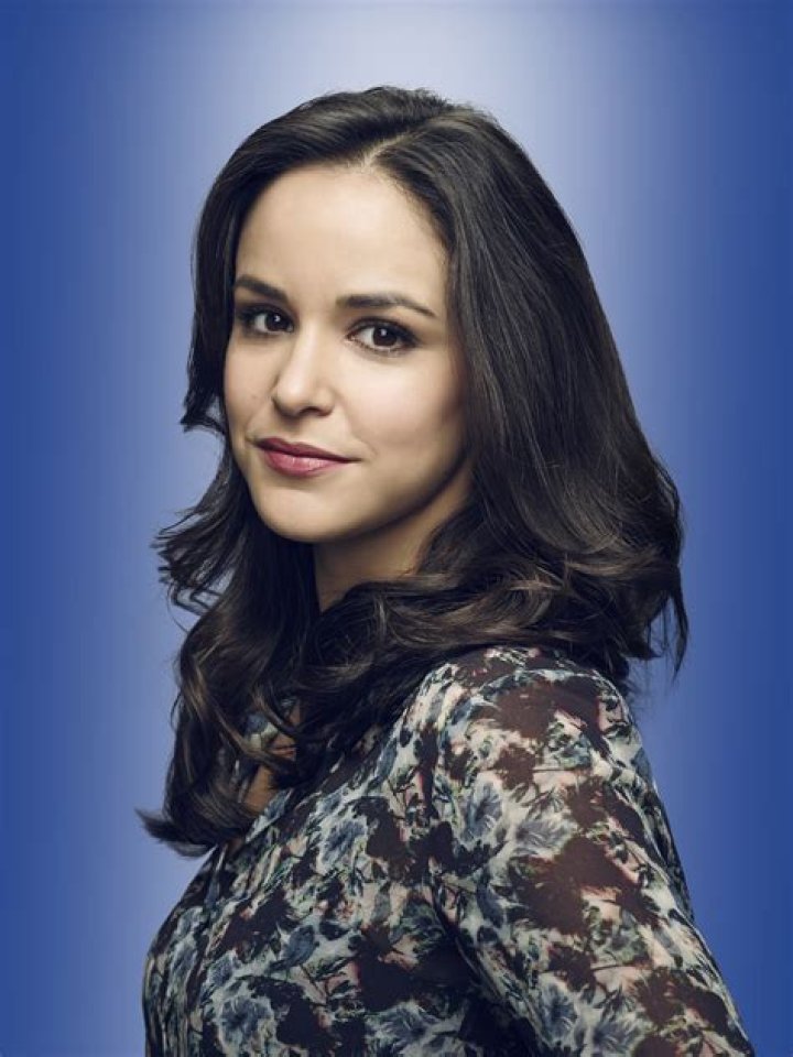 Melissa Fumero: The Multifaceted Star of Television