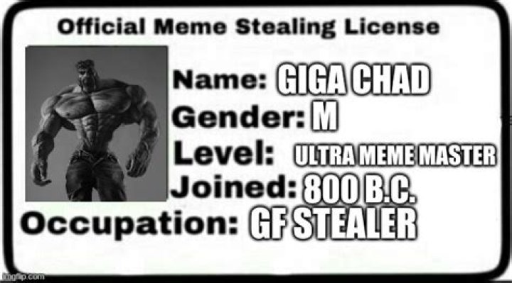 Meme Steal License: Understanding the Cultural Phenomenon and Legal Implications