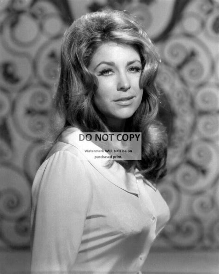 Michele Carey Naked: Unveiling the Life and Legacy of a Hollywood Star
