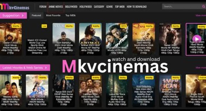 Discovering the World of mkvcinemas: A Cinematic Journey