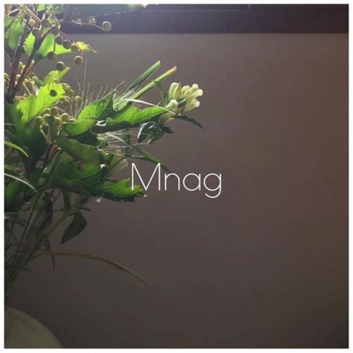 MNAG: The Ultimate Guide to Understanding MNAG and Its Impact