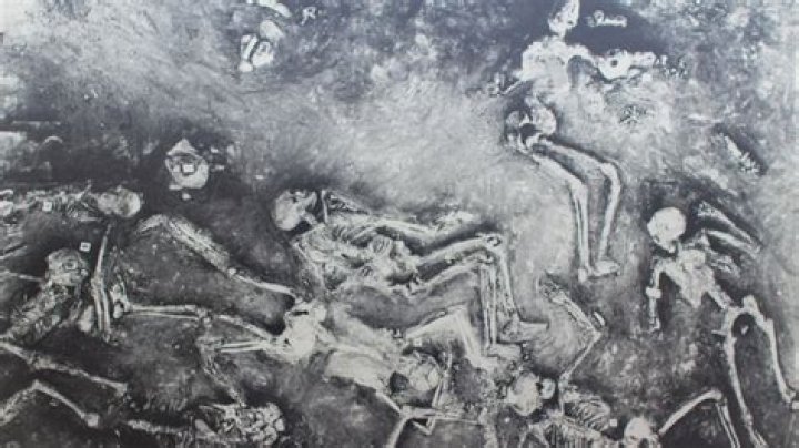 Mohan Gendaro Bodies: Understanding the Phenomenon and Its Implications