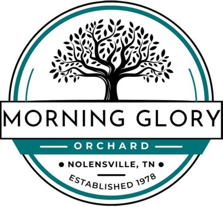 Discovering the Charm of Morning Glory Orchard