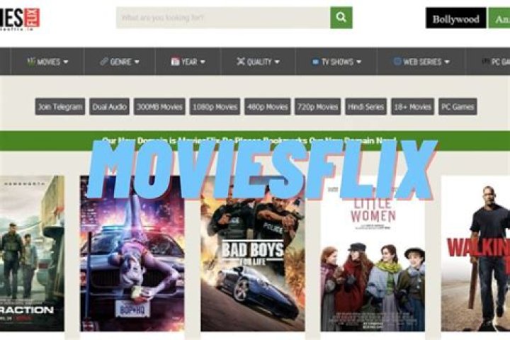 Comprehensive Guide to MoviesFlix.com: Your Ultimate Movie Streaming Destination