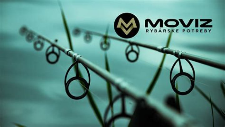 Discover the Ultimate Guide to Moviz Rules.com: Your Go-To Source for Entertainment