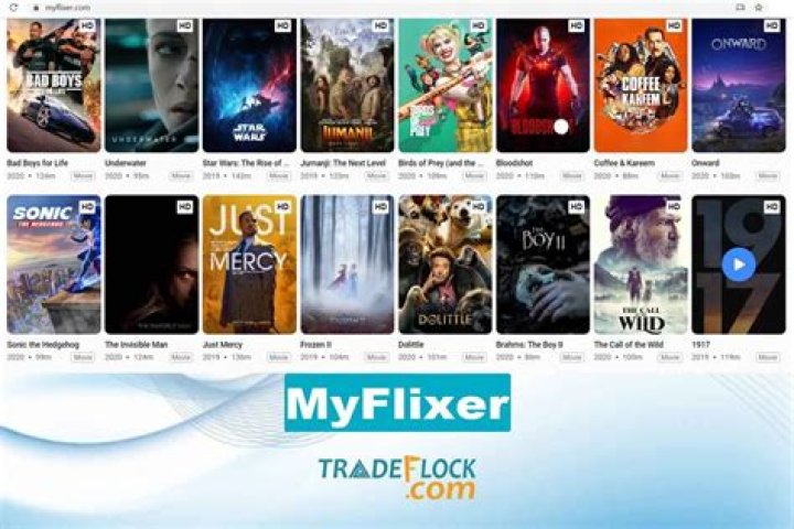 Unraveling the Wonders of MyFlixter: Your Ultimate Movie Companion
