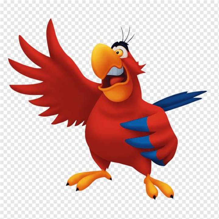 Name of Parrot from Aladdin: A Deep Dive into Iago's Character