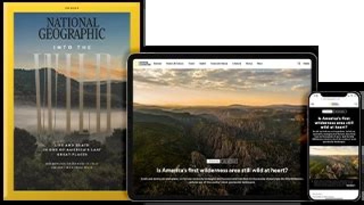 Uncover the World with National Geographic Presents: Explore, Discover, and Learn