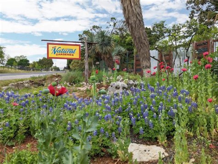 Natural Gardener: Embracing Sustainable Gardening Practices for a Greener Future