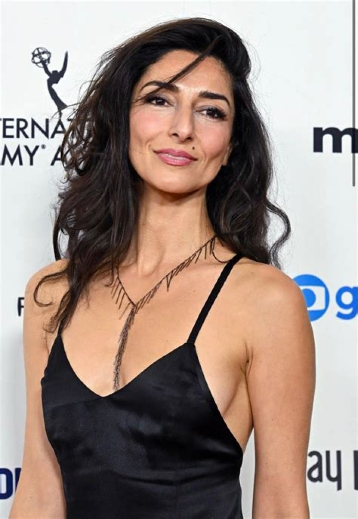 Unveiling the Enigmatic Talent of Necar Zadegan