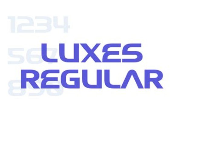 Net Luxes: Elevating Your Lifestyle with Luxury Experiences