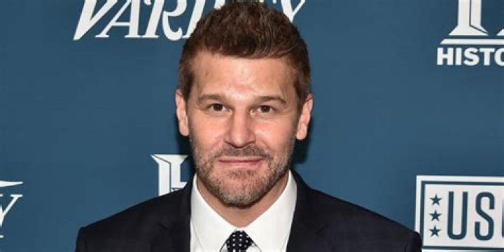 Unveiling the Net Worth of David Boreanaz: A Deep Dive into His Life and Finances