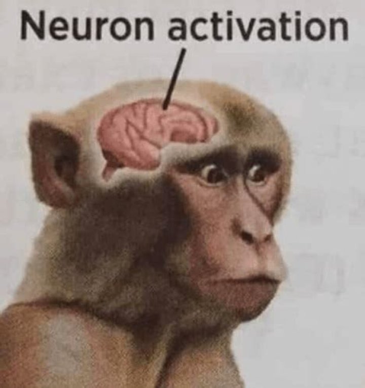 Unlocking the Secrets of Neuron Activation Meme: A Deep Dive