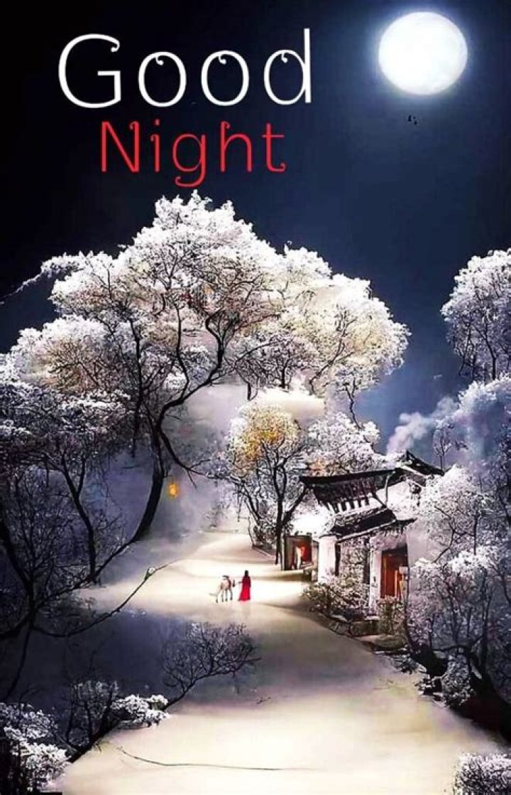 New Good Night Photo: Capturing the Essence of Sweet Dreams