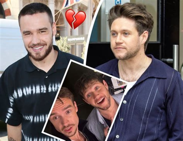 Niall Liam: The Rising Star of Pop Music